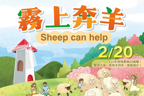 2021清境農場霧上奔羊 2021清境農場霧上奔羊